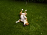 gal/Daisy/_thb_Daisy 46.jpg
